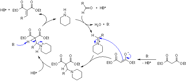 The Knoevenagel Condensation (Berkessel and Gröger, 2005).