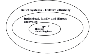 Family Systems Illness Model.