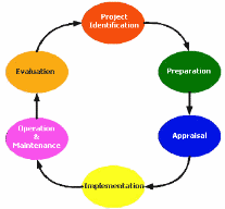 Steps in Project Planning (Lewis, 2000)