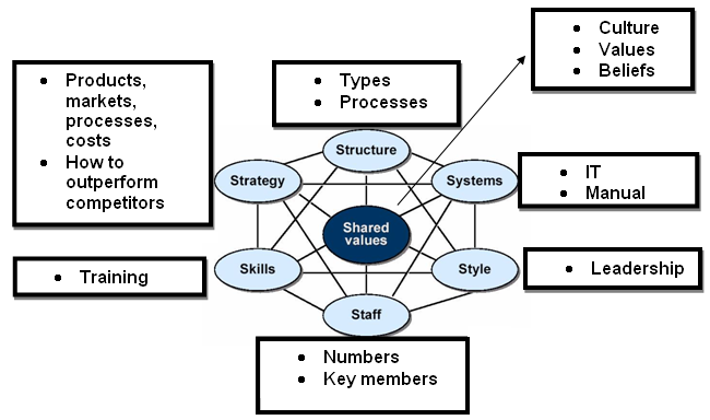 Internal Analysis- McKinsey’s Seven Elements Framework.