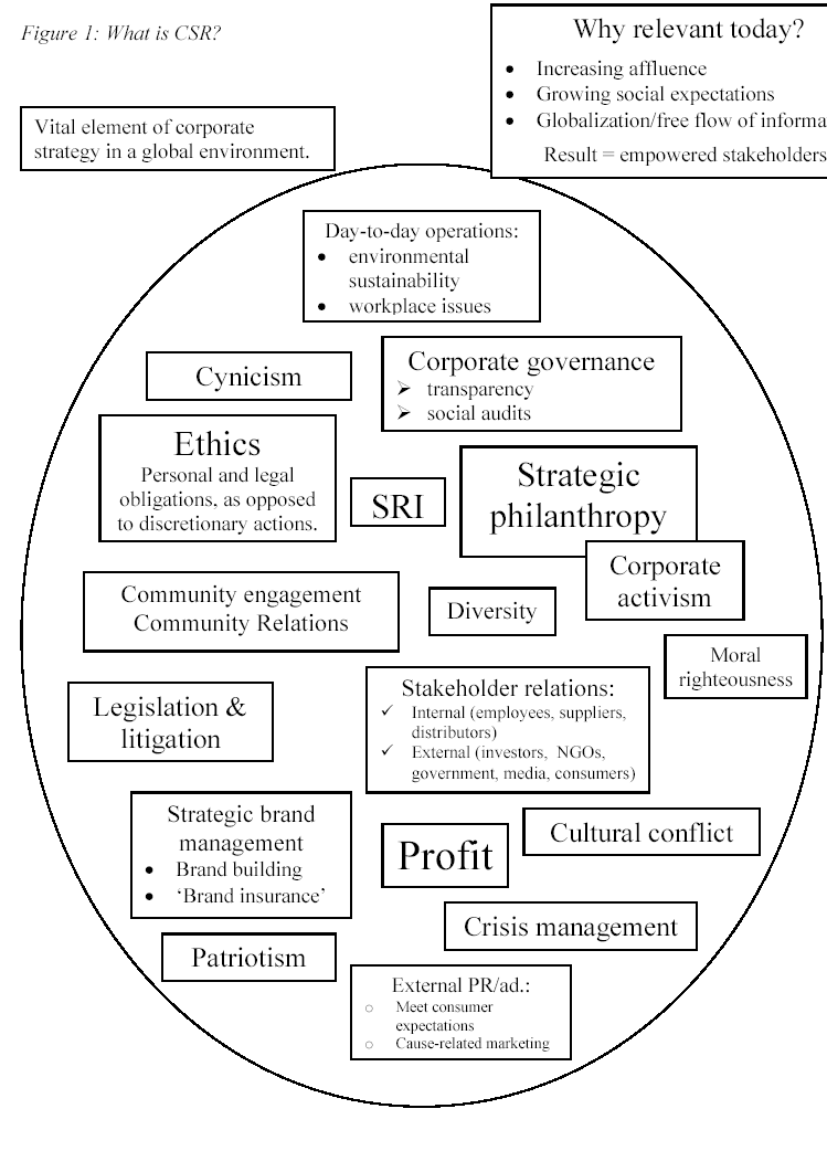 essay topics for corporate social responsibility