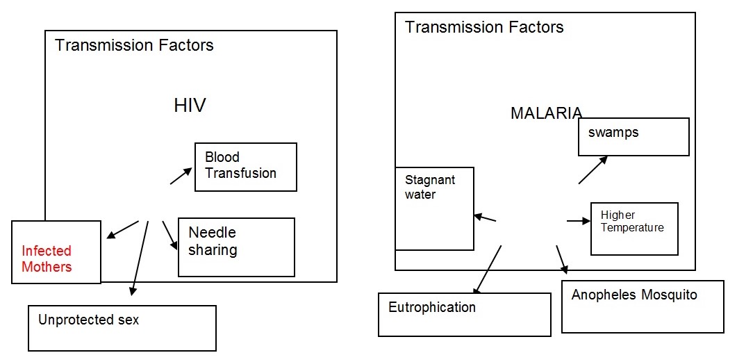 Transmission Factors