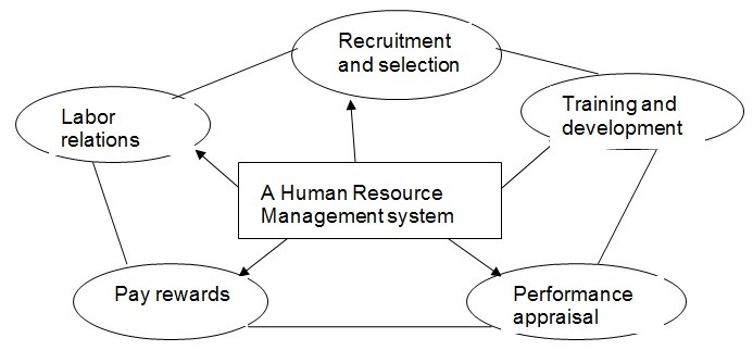  Functions of a Human Resource Management system