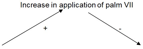 Increase in application of palm VII.