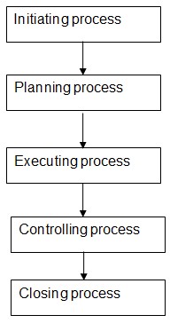 Managerial Processes in Project Management.