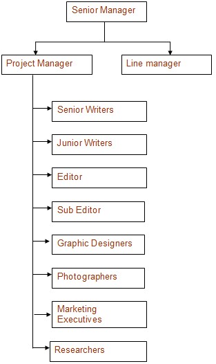 Project Organization Structure.