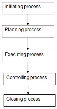 Managerial Processes in Project Management