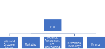 Organizational chart (CEO)