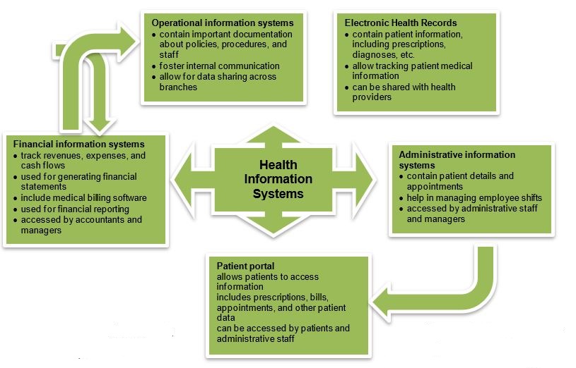 essay on health information systems