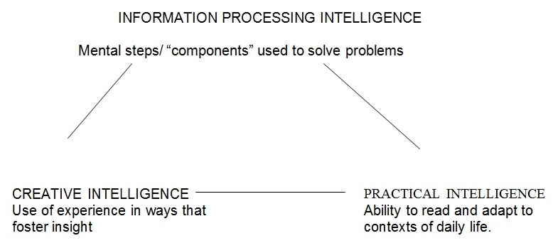 INFORMATION PROCESSING INTELLIGENCE