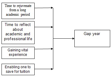 Conceptual Framework