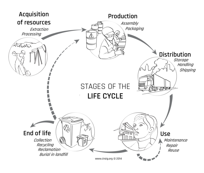 Coffee paper cup production cycle: “The Long And Sordid Journey Of A Disposable Coffee Cup.” 
