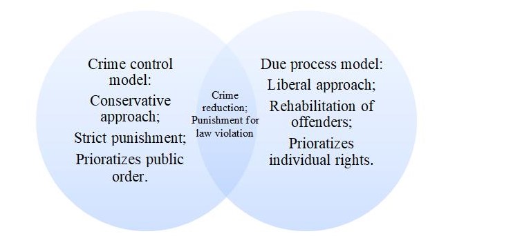 The US Criminal Justice Assignment Free Essay Example