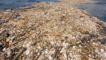 The Great Pacific Garbage Patch (Snowden).