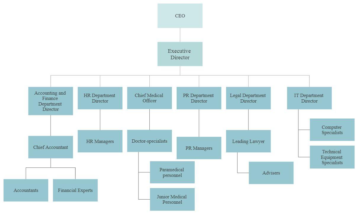 Organizational Chart of the Private Medical Company