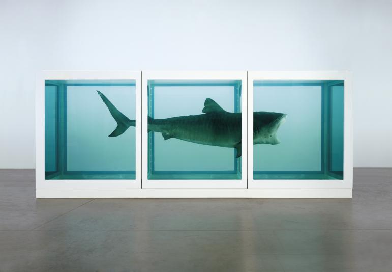 The Physical Impossibility of Death in the Mind of Someone Living, 1991, Glass, painted steel, silicone, monofilament, shark and formaldehyde solution, 85.5 x 213.4 x 70.9 in., Tate Modern, London, UK.
