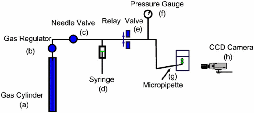 Schematic model of a pressure-pulse bubble generator