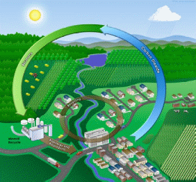 Uses of Biogas as an Energy Supplement