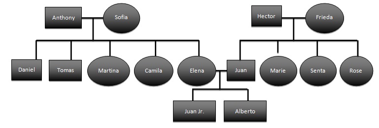 Genogram: Hernandez Family