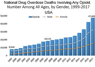 Dynamics of drug overdose deaths 