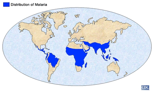Worldwide distribution of malaria.