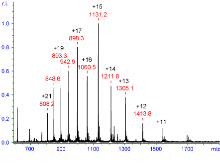 ESI mass spectrum of horse heart myoglobin