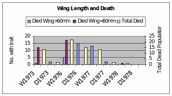 Wing Lenght and Death