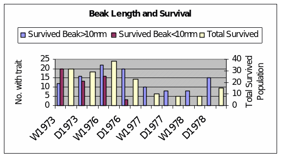 Beak Lenght and Survival