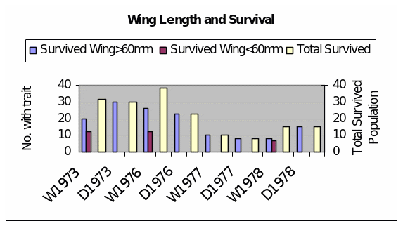 Wing Lenght