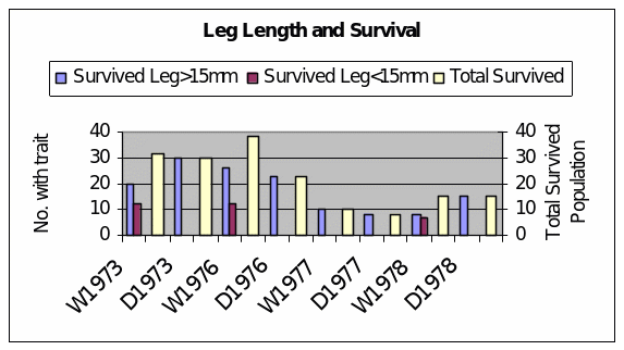 Leg Lenght