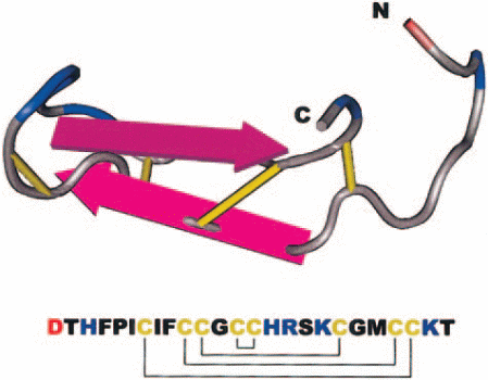 Hepcidin structure(Source: Ganz & Elizabeth)