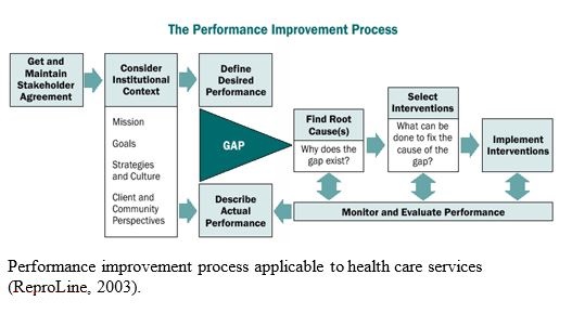 The Performance Improvement Process
