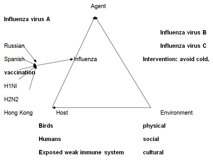 The epidemiologic triangle
