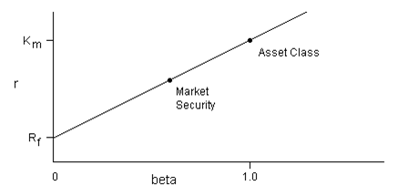 Capital Asset Pricing Model.
