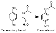 Acetylation of PAP