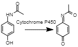 Paracetamol oxidation to NAPQI