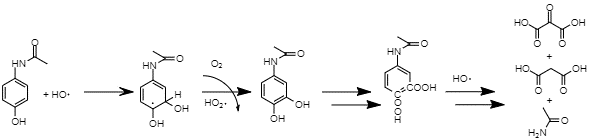 Paracetamol oxidation by UV/H2O2