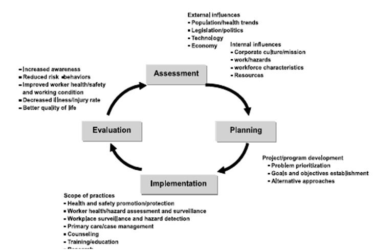 Occupational Health Nursing Model