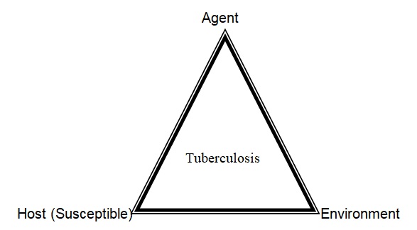 Epidemiologic Triangle in Relation to Tuberculosis
