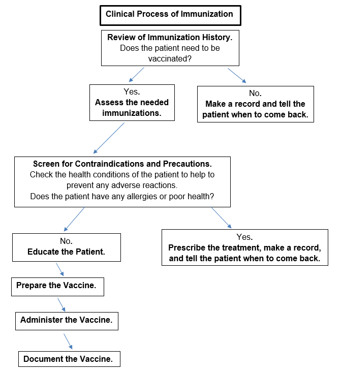 Diagram of the Clinical Process of Immunization