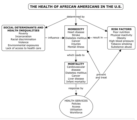 Health framework of African Americans 