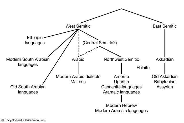 Semitic Language Family