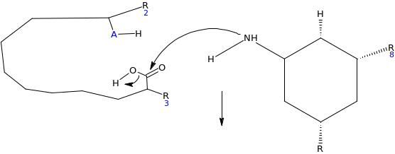 Enzyme- and Acid-Catalyzed Hydrolysis of Glycoside Salicin