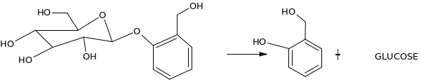 Give a mechanism for a acid-catalyzed hydrolysis of salicin 1