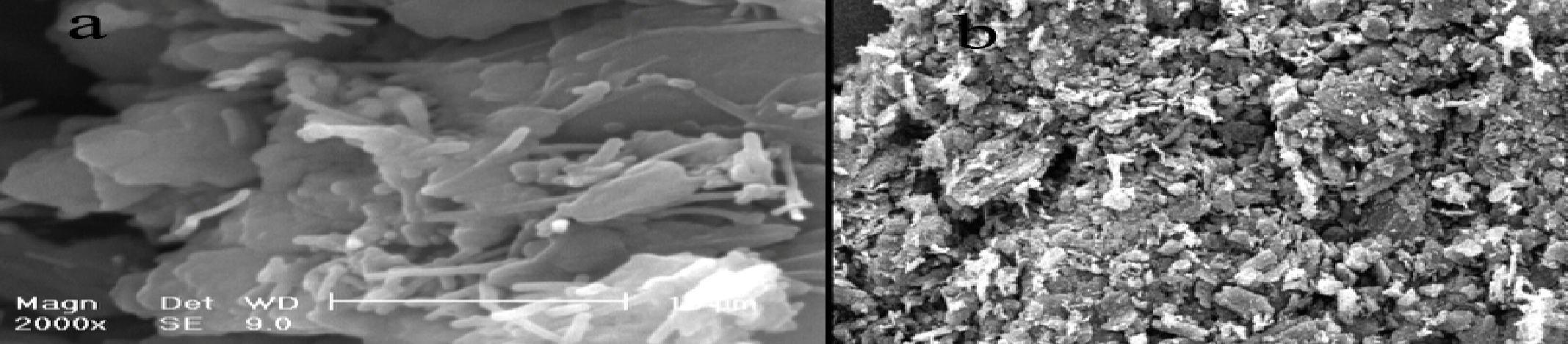 SEM image of a) FDCAMCNTPE, and b) the unmodified electrode (Hongjie, 2002).