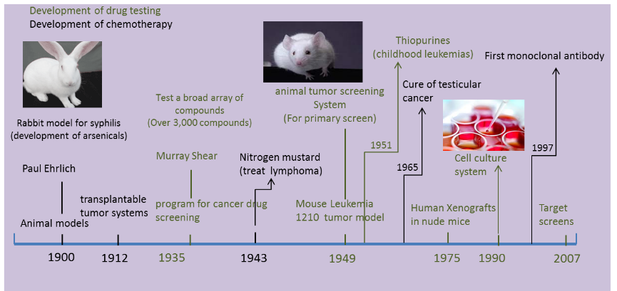 Key advances in history of cancer chemotherapy and drug development.