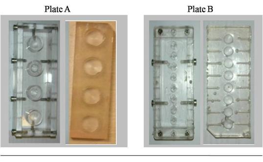 TissueFlex® molds and PDMS bioreactors.