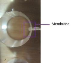 Membrane in the well of bioreactor.