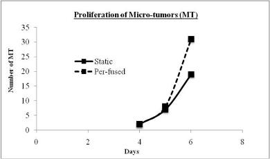 Proliferation of MT in alginate scaffolds either in a static or perfused culture. MT only be counted in when its diameter bigger than 50 μm.