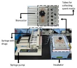 set up of perfusion culture system.